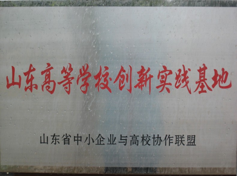 山东高等学校创新实践基地
